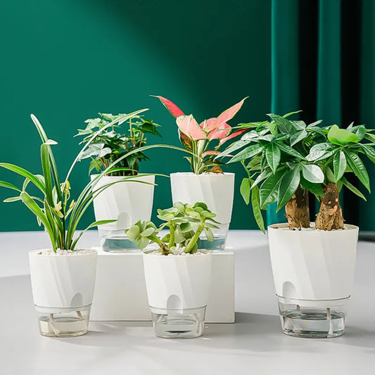 Hydroponic Flower Pot Automatic Water-Absorbing Flowerpot